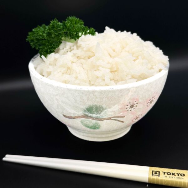 Sushi Reis